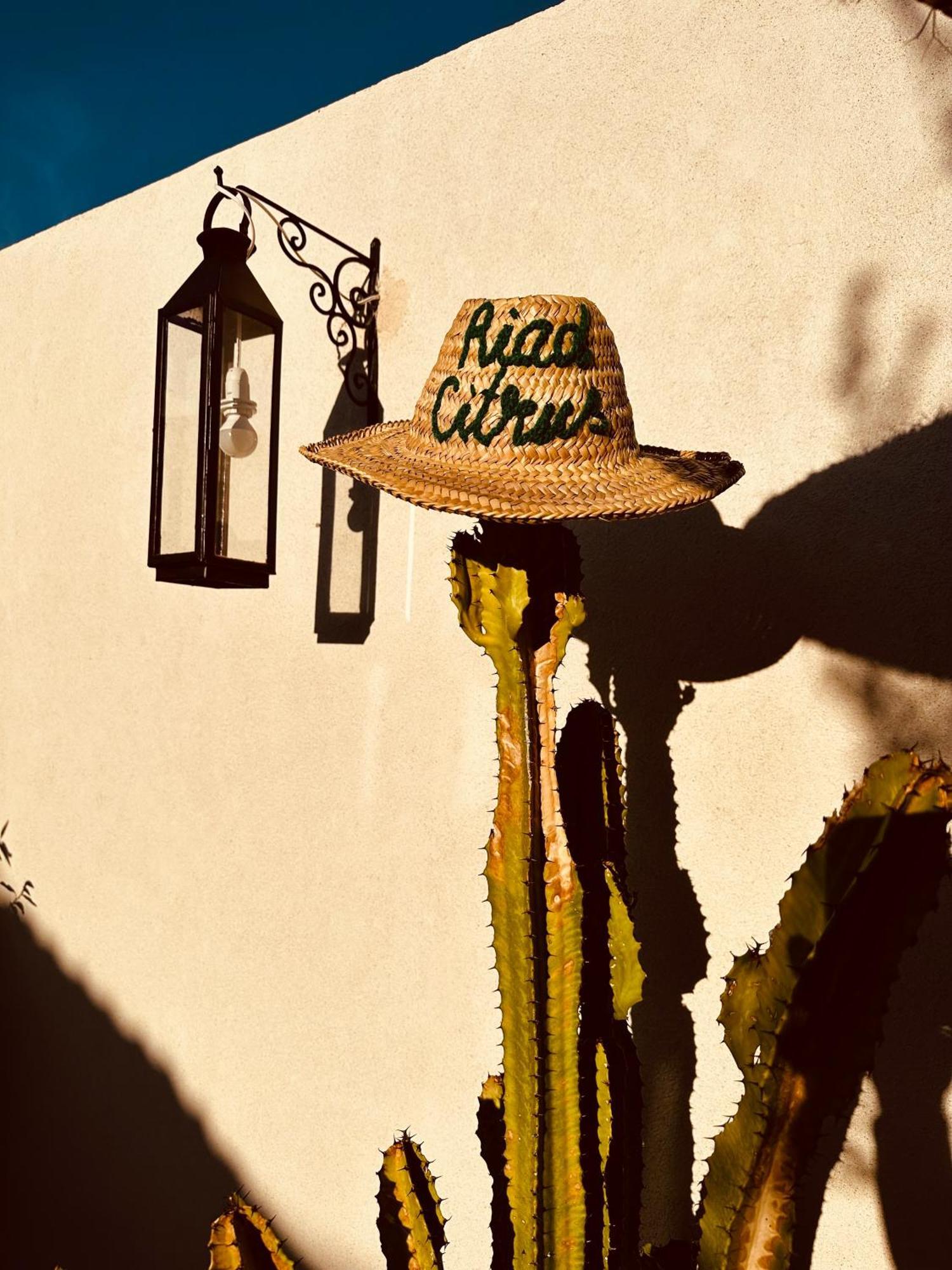 Riad Citrus By La Siredrah Marrakesh Exterior photo